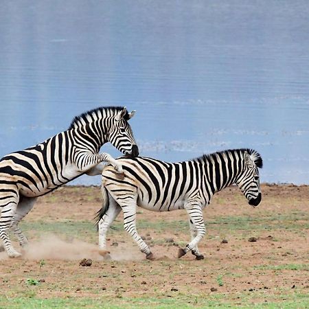 Tented Adventures Pilanesberg Eksteriør bilde
