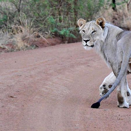 Tented Adventures Pilanesberg Eksteriør bilde