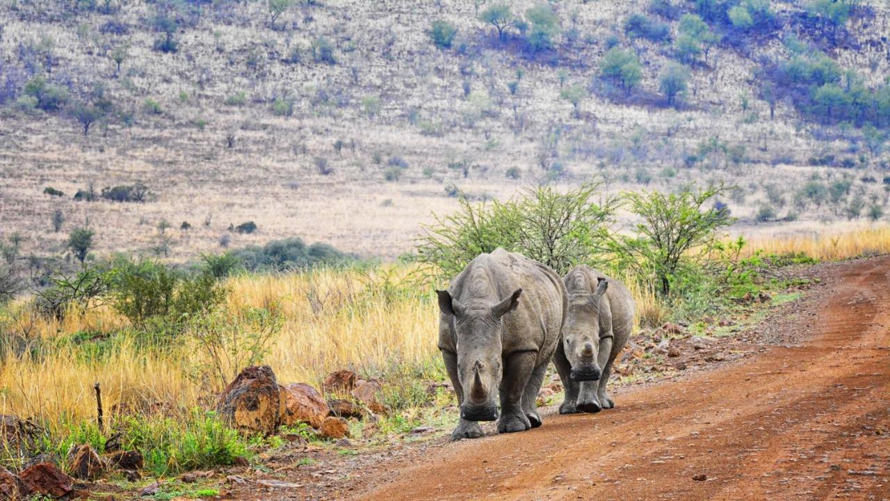 Tented Adventures Pilanesberg Eksteriør bilde