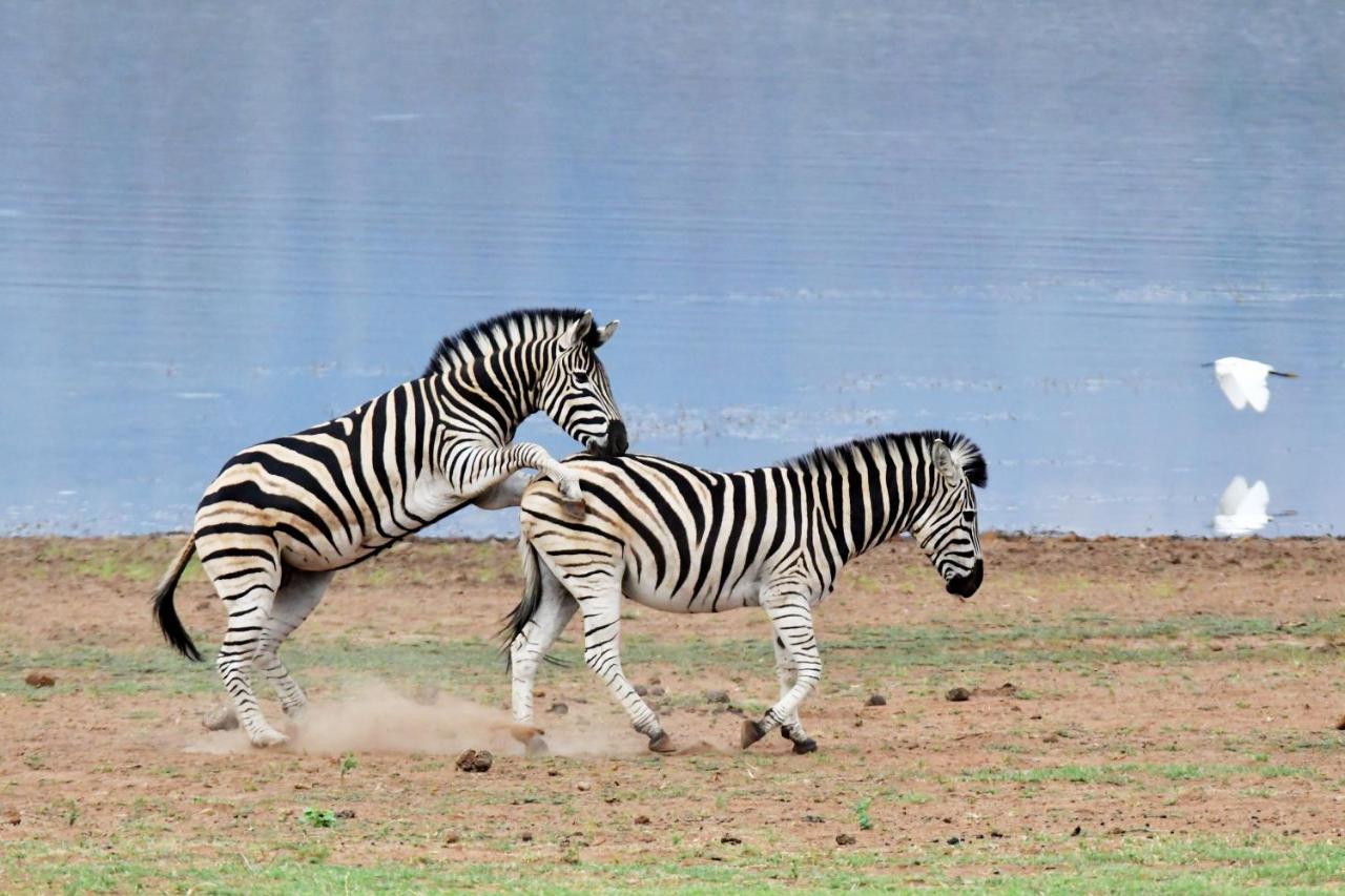Tented Adventures Pilanesberg Eksteriør bilde